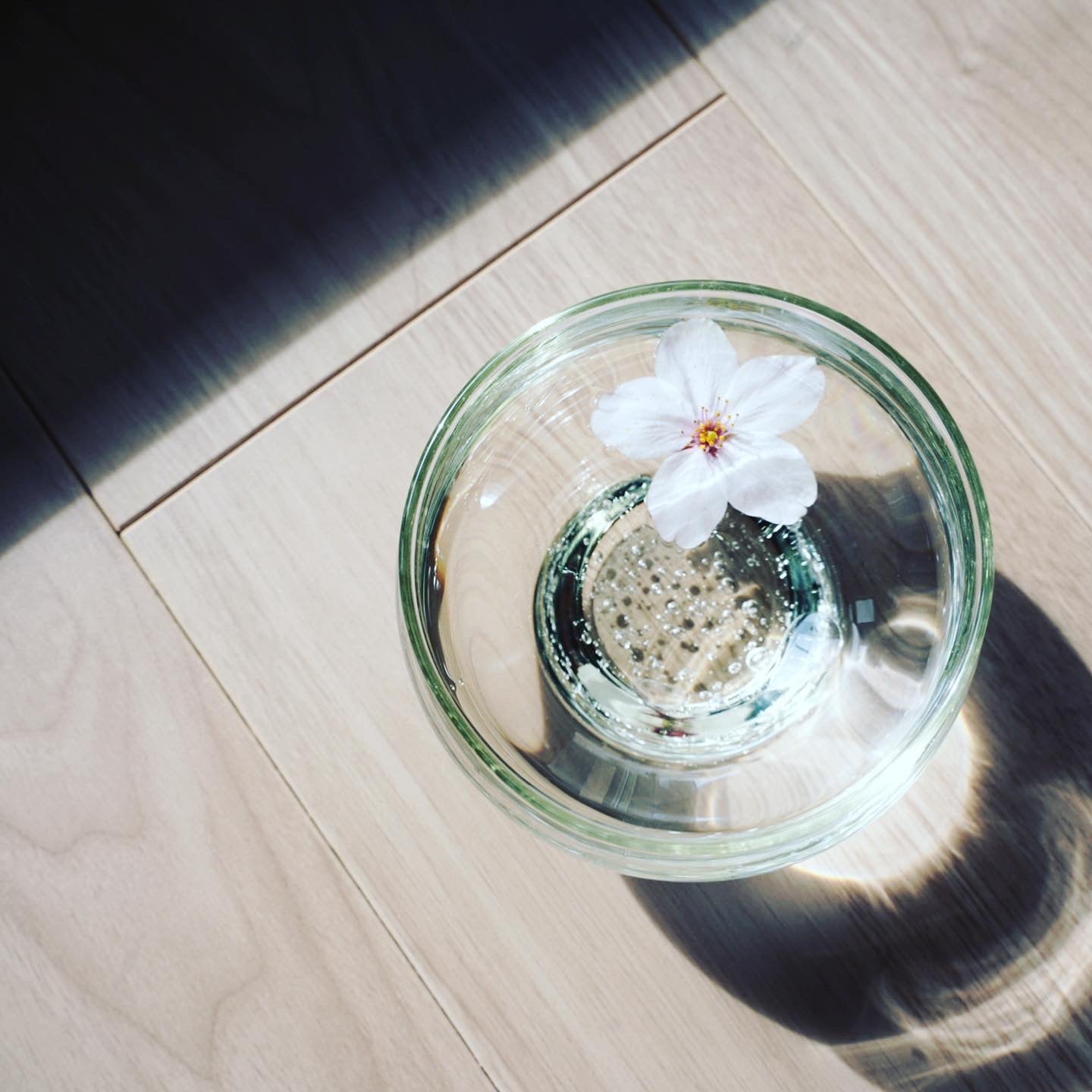 冷茶グラス　琵琶湖彩　glass imeca　神永朱美