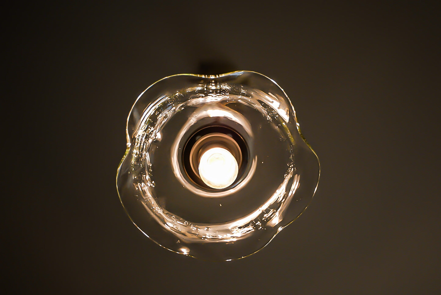 glass imeca 琵琶湖彩ペンダントライト　ハナビラ５枚