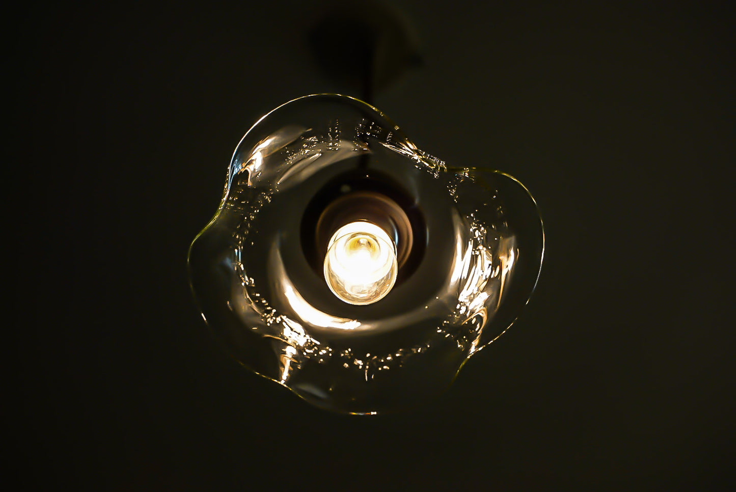 glass imeca 琵琶湖彩ペンダントライト　ハナビラ４枚