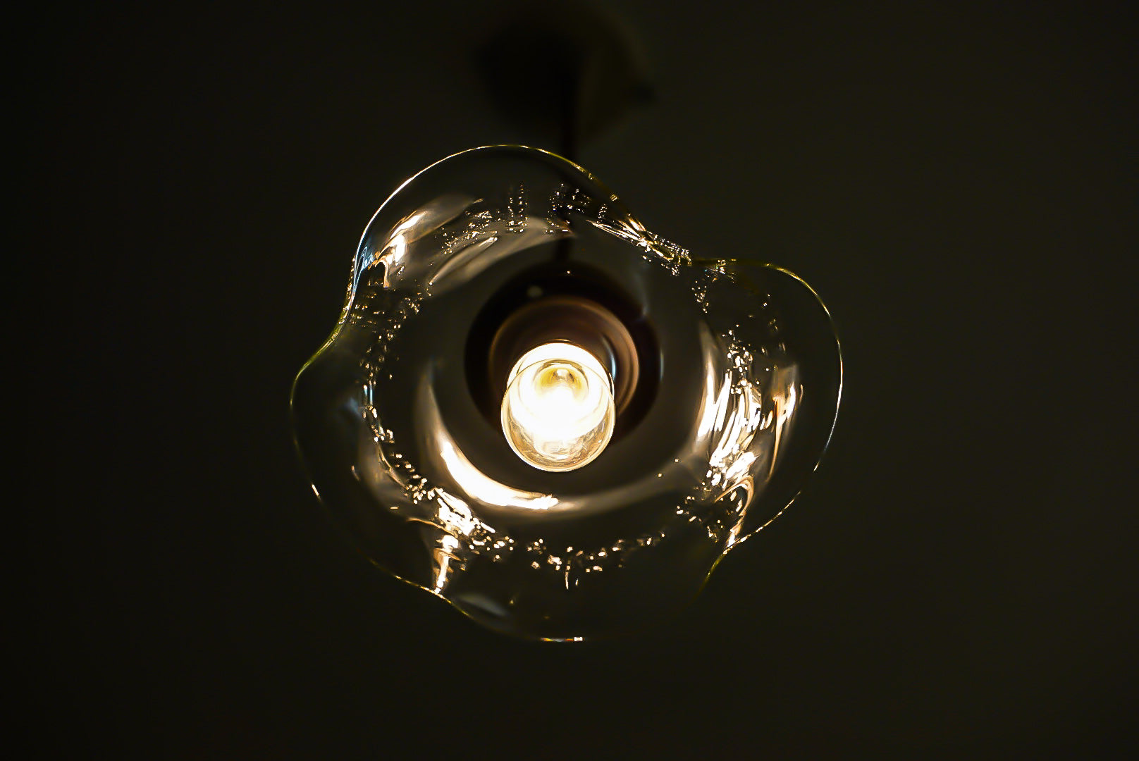 glass imeca 琵琶湖彩ペンダントライト　ハナビラ４枚